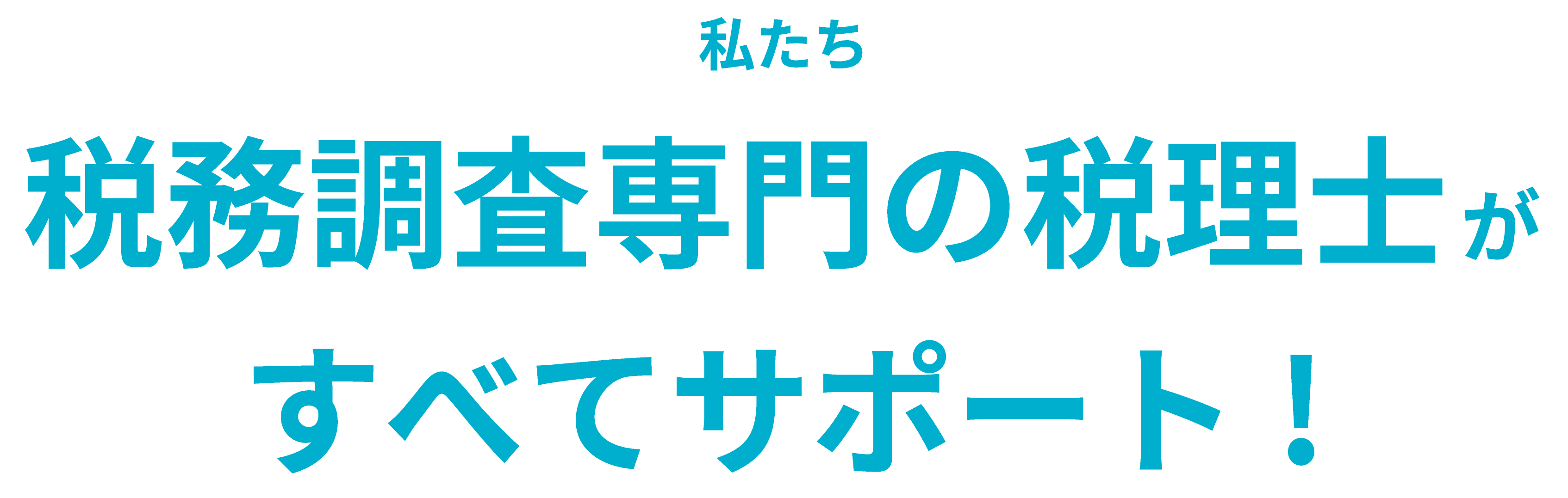 私たち税務調査専門の税理士がすべてサポート!